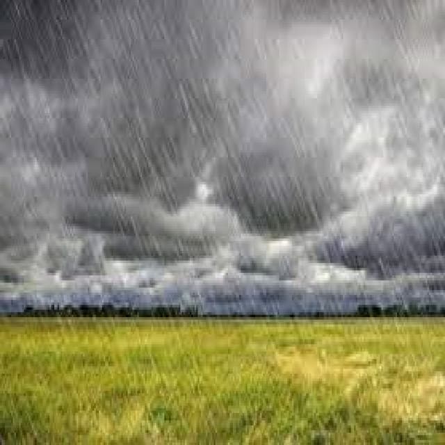 Rainy Day artist profile image