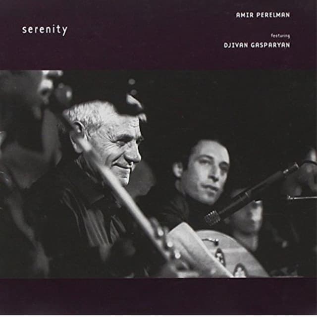 Amir Perelman artist profile image