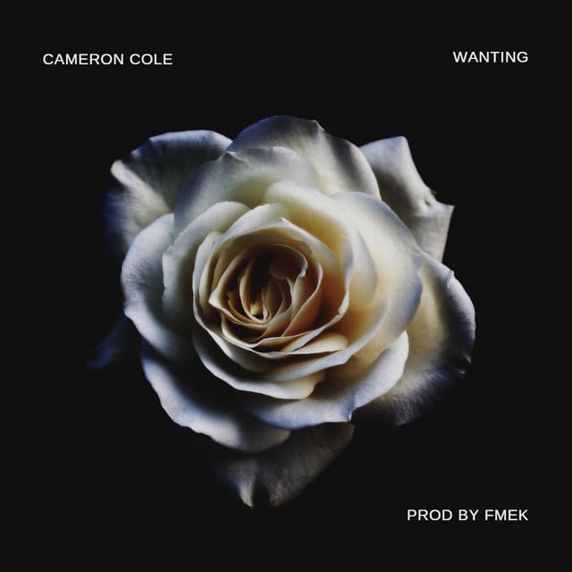 Cam Cole artist profile image