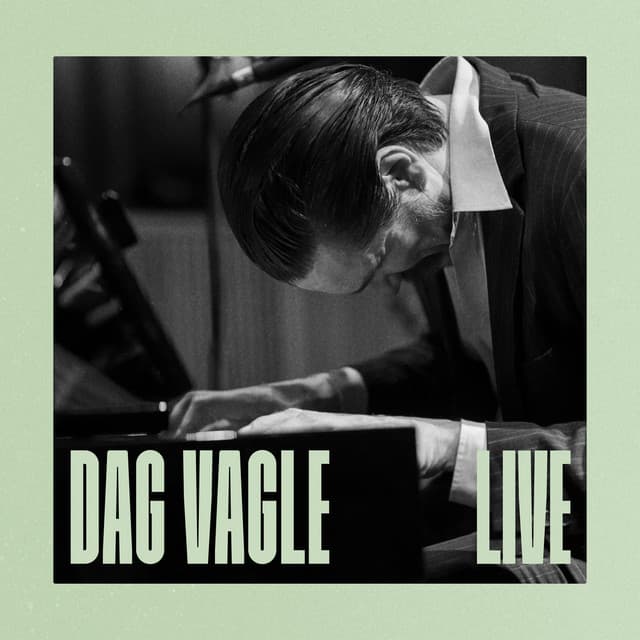 Dag Vagle artist profile image