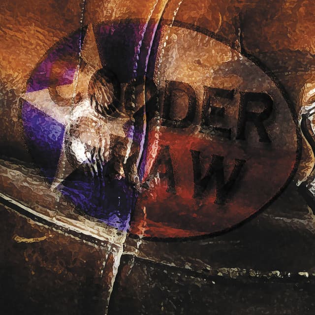 Cooder Graw artist profile image
