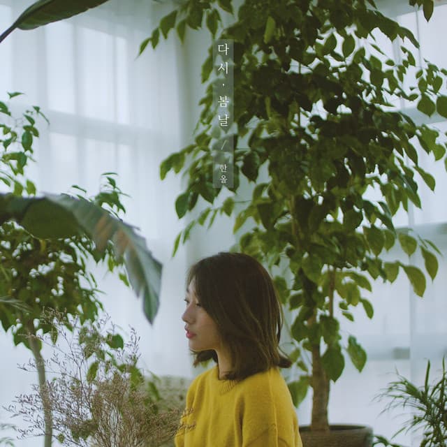 Han All artist profile image