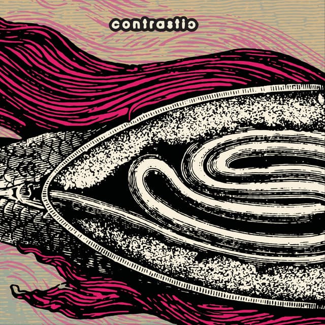 Contrastic artist profile image