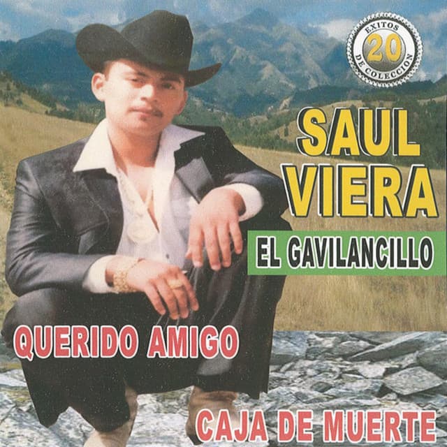 Saul Viera El Gavilancillo artist profile image