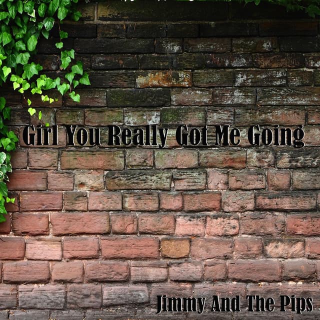 Jimmy and the Pips artist profile image