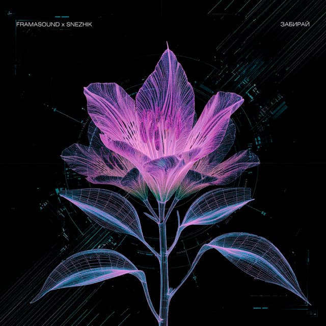 FRAMASOUND artist profile image