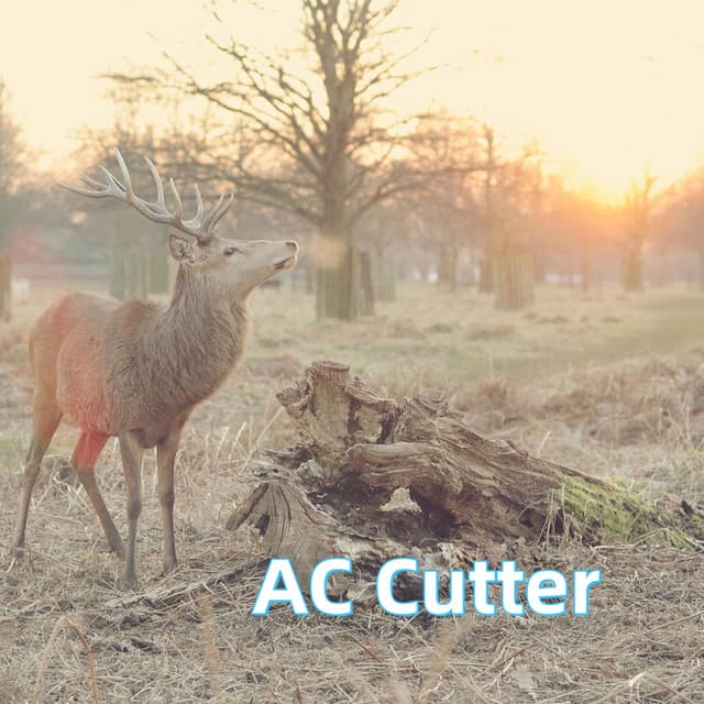 Gene Zimmerman artist profile image