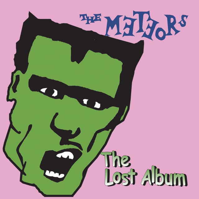 The Meteors's artist profile image