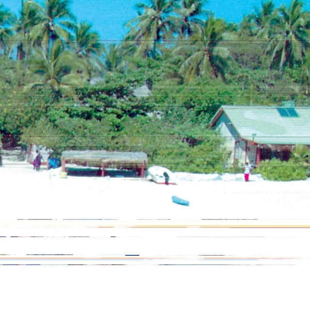 sora artist profile image