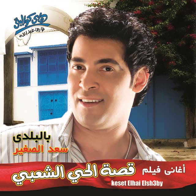 Saad El Soghayar profile