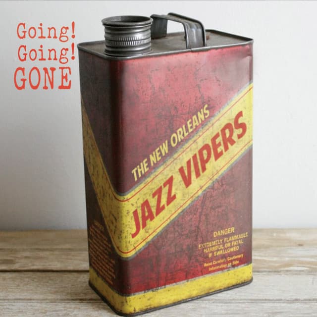 The New Orleans Jazz Vipers artist profile image