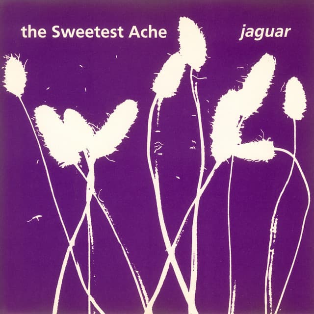 The Sweetest Ache artist profile image