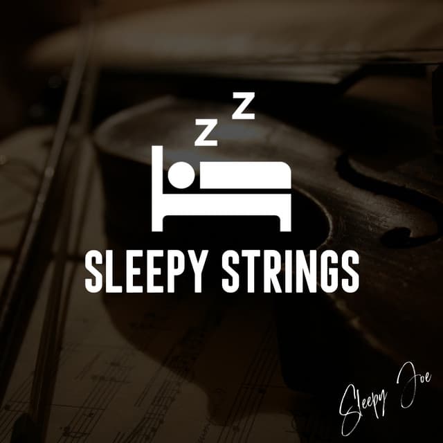 Sleepy Joe's artist profile image
