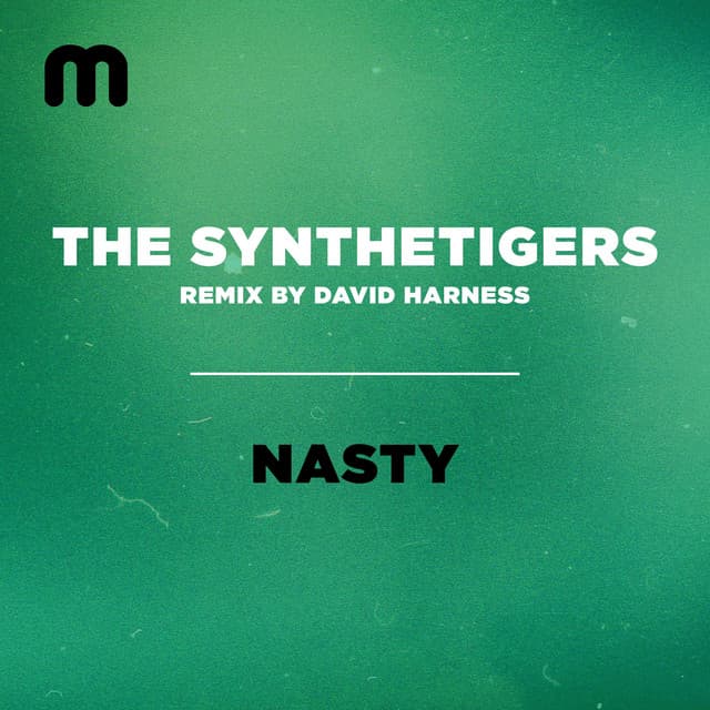 The SyntheTigers artist profile image