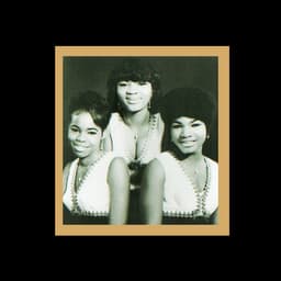 The Lovelites's artist profile image