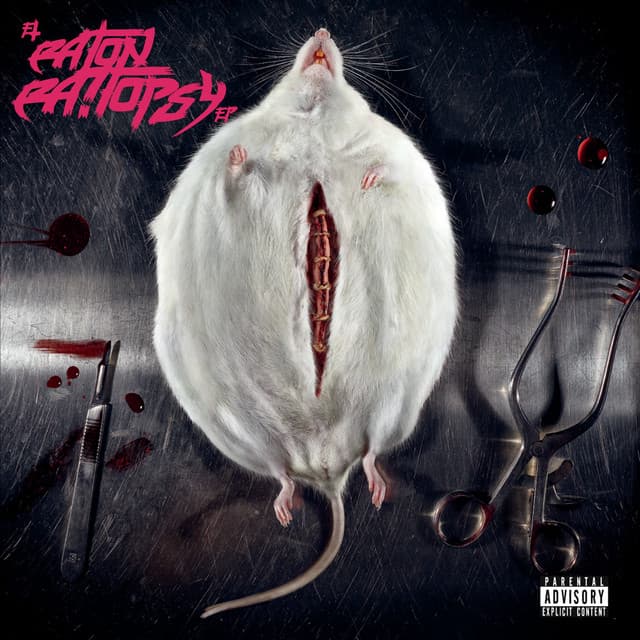 Hell Raton artist profile image
