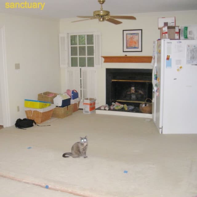 spiderhouse artist profile