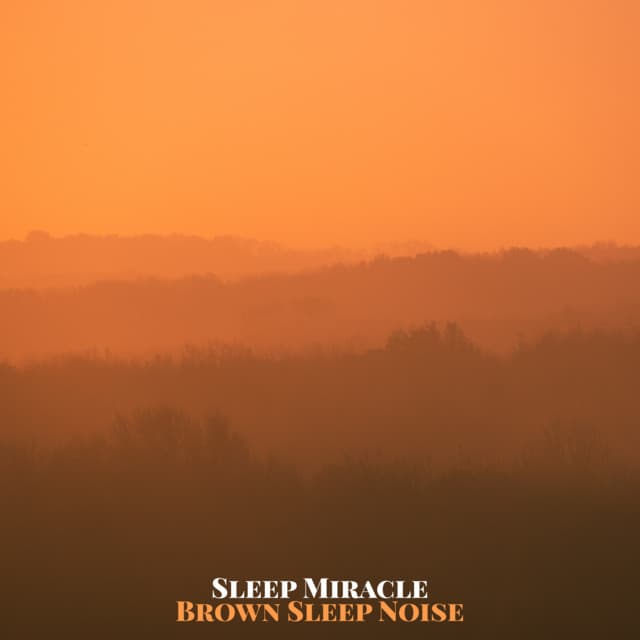 Sleep Miracle artist profile image