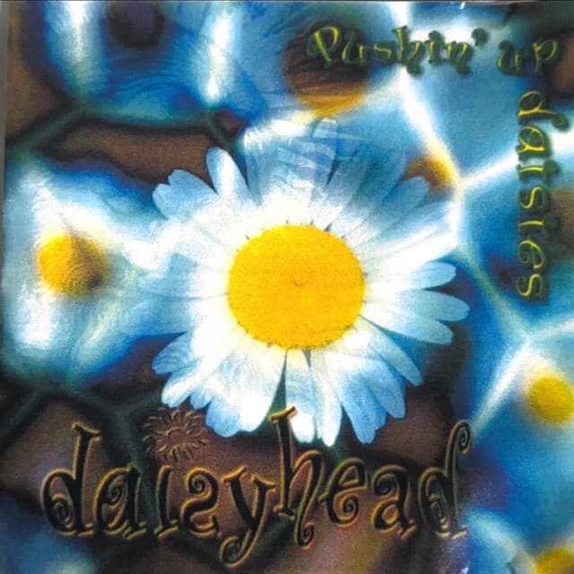 Daisyhead's artist profile image