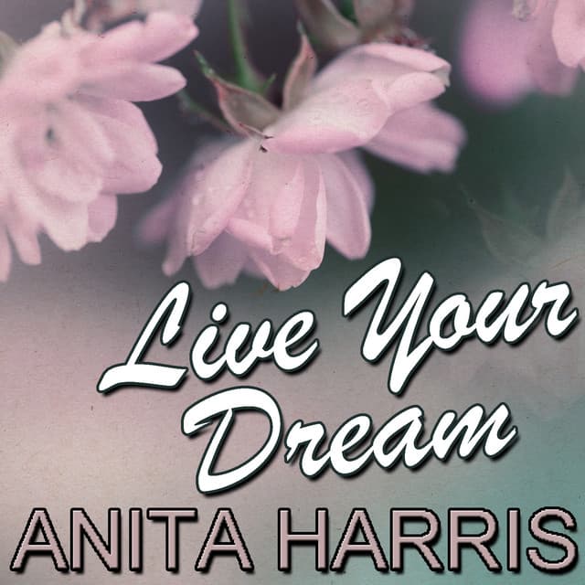 Anita Harris artist profile image