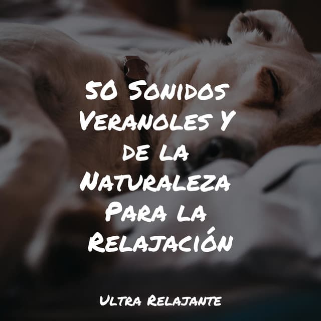 Yoga Para Ninos artist profile image