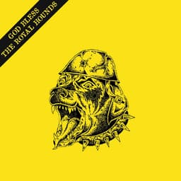 The New York Hounds's artist profile image