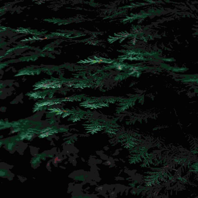 Baru artist profile image