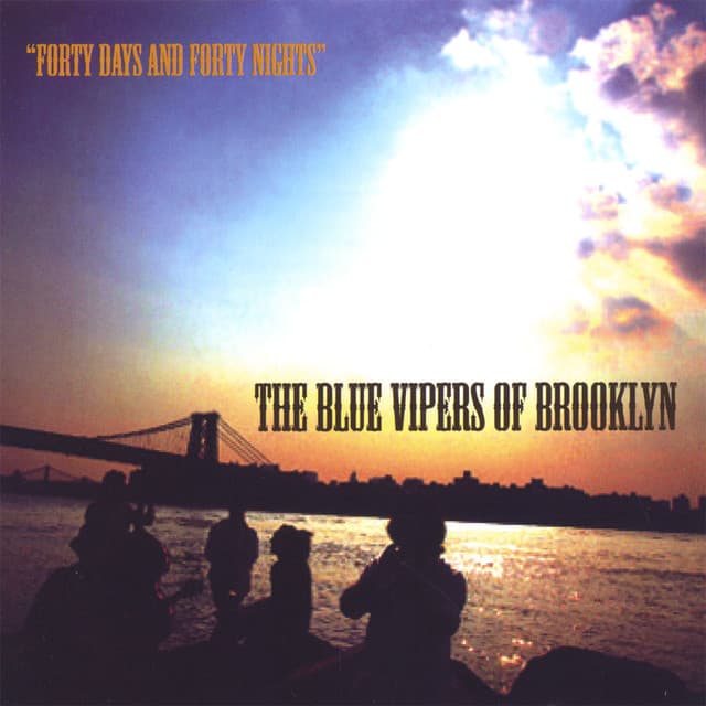 The Blue Vipers Of Brooklyn artist profile image