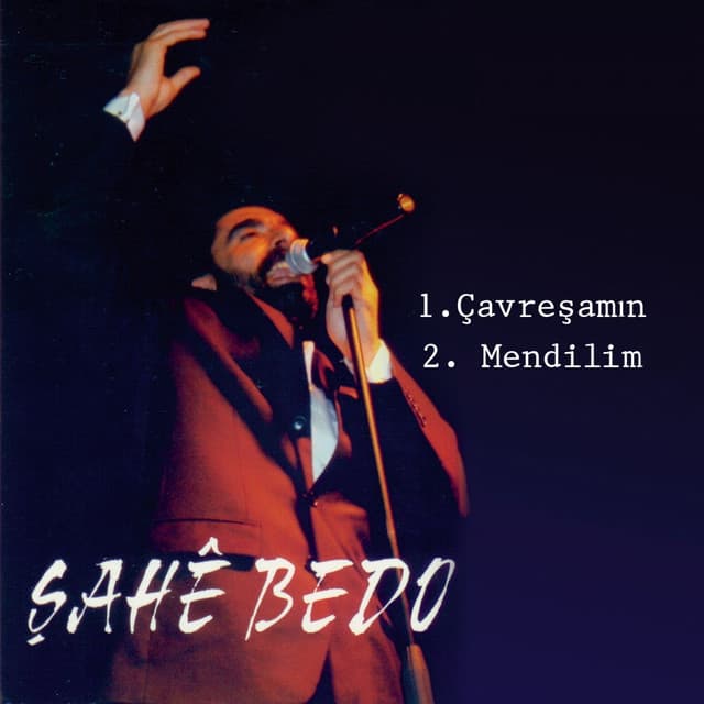 Şahe Bedo artist profile image