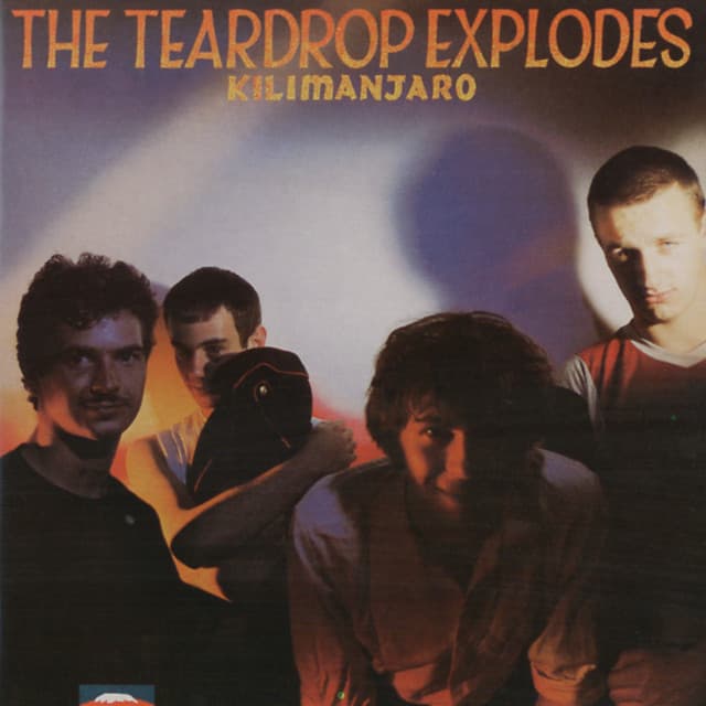 The Teardrop Explodes artist profile image