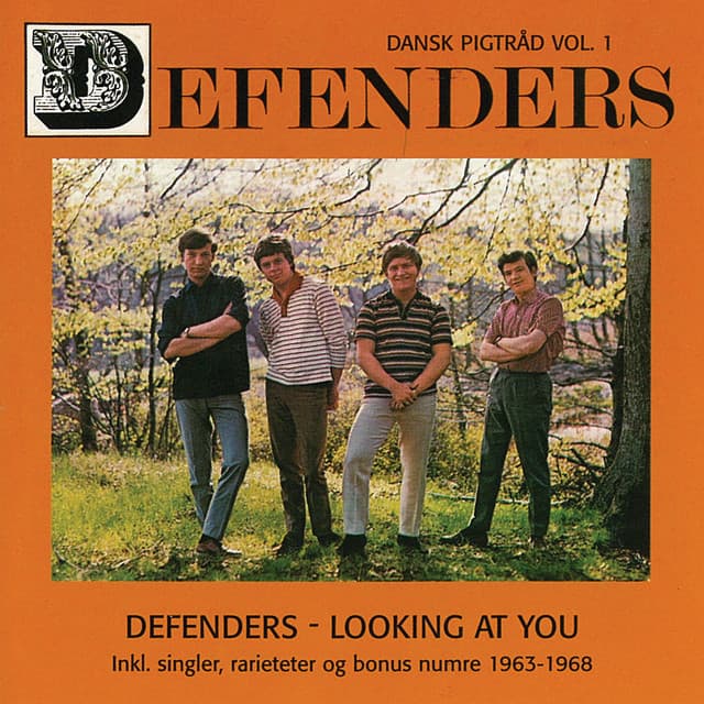 The Defenders artist profile image