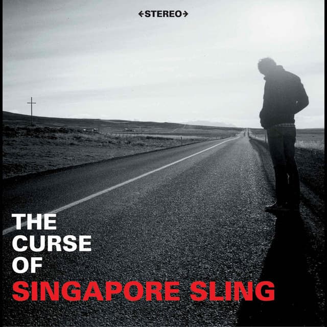 Singapore Sling artist profile image