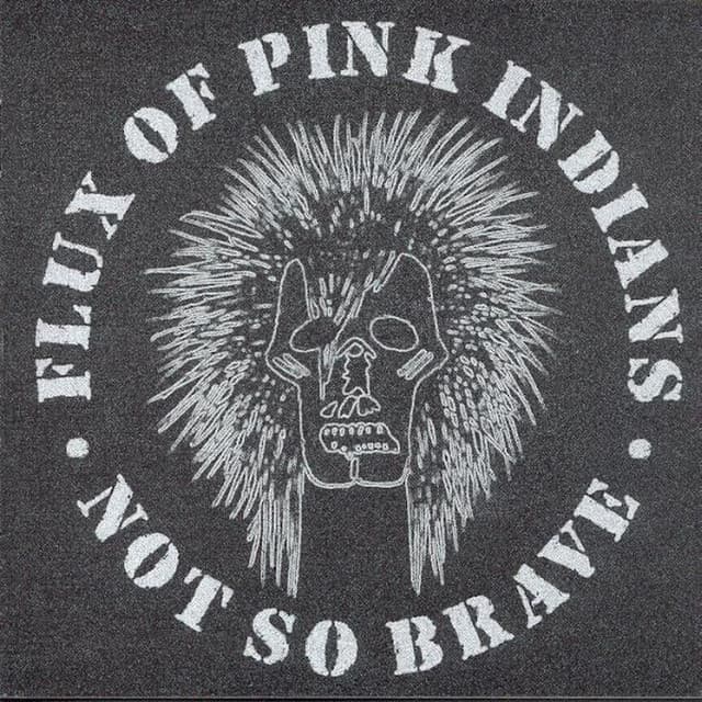 Flux of Pink Indians artist profile image