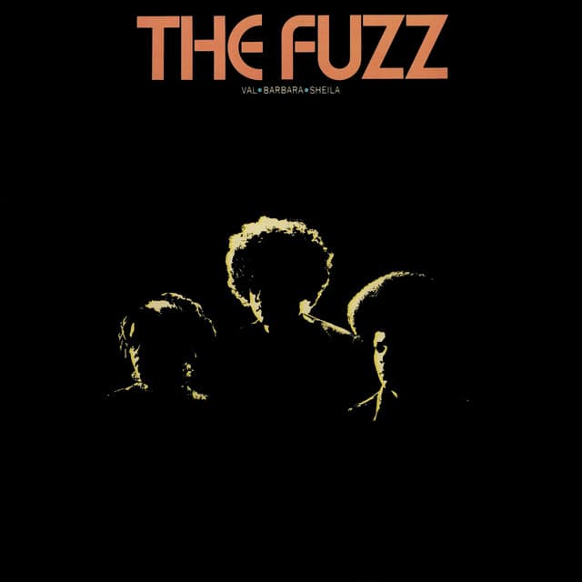 The Fuzz's artist profile image