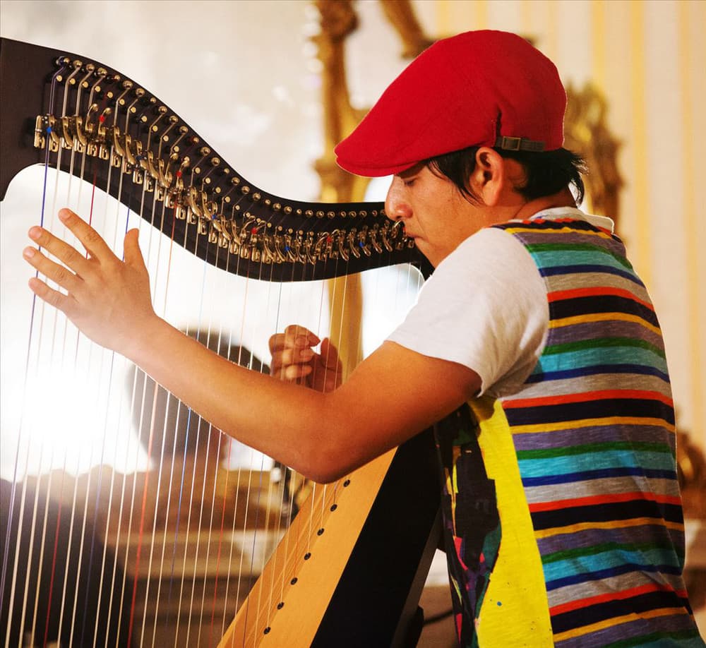 Edmar Castañeda's artist profile image