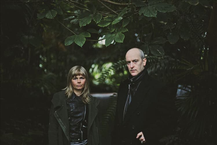 The Vaselines artist profile image