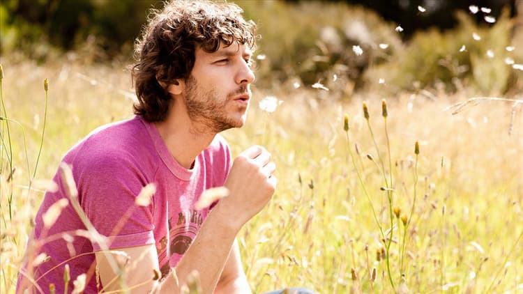 Gotye artist profile image