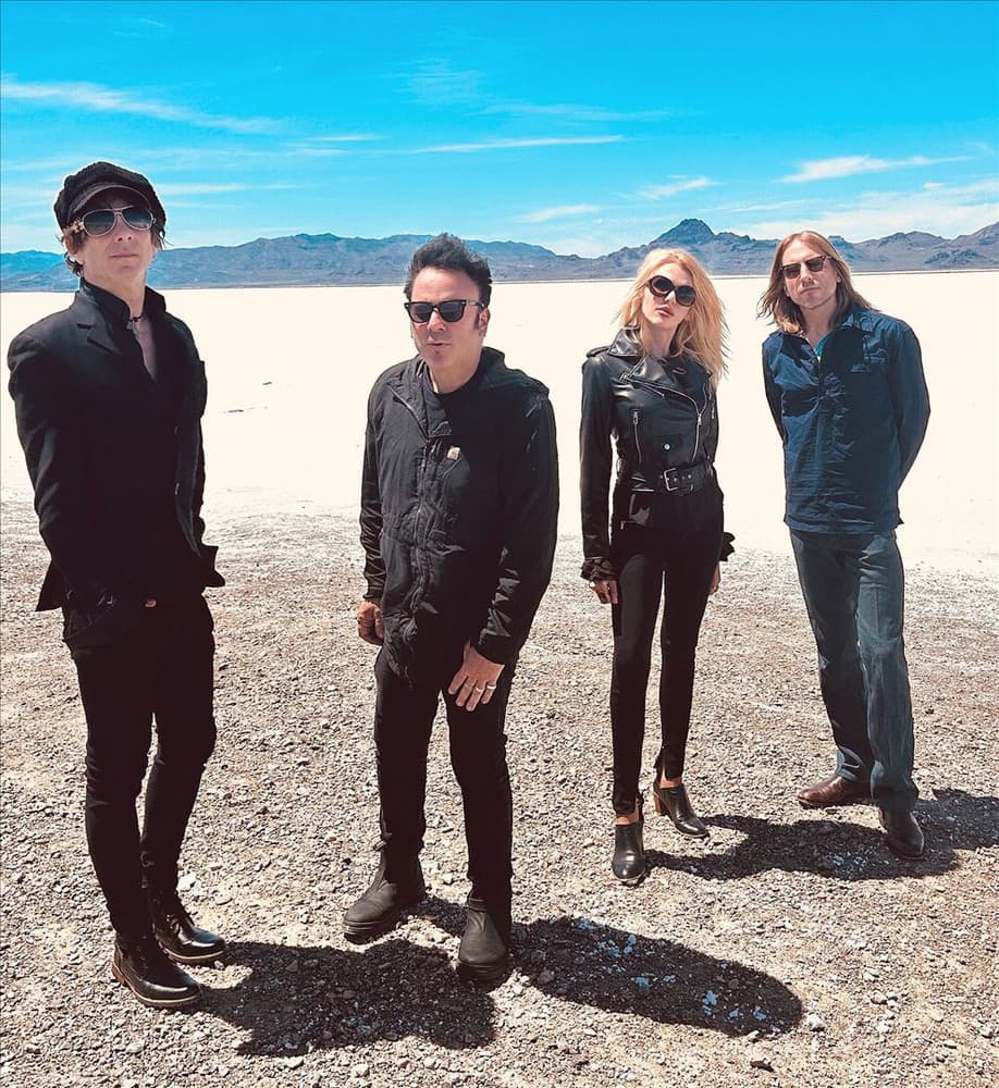 Mercury Rev's artist profile image