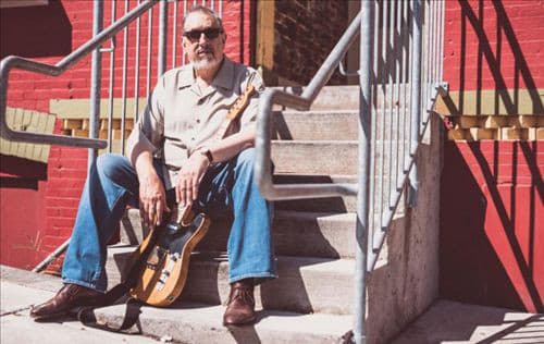 David Bromberg artist profile image