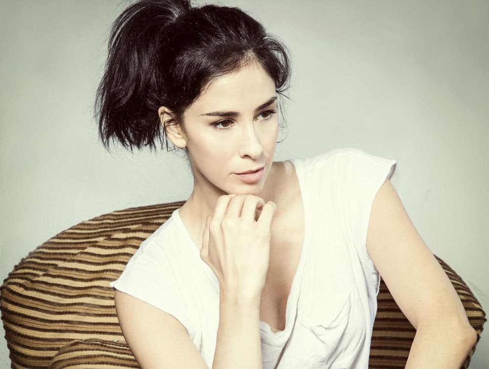 Sarah Silverman artist profile