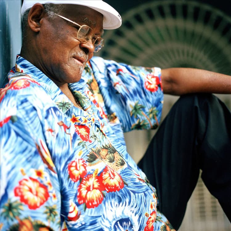 Ibrahim Ferrer artist profile image