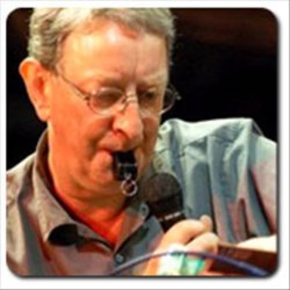 Steve Beresford artist profile