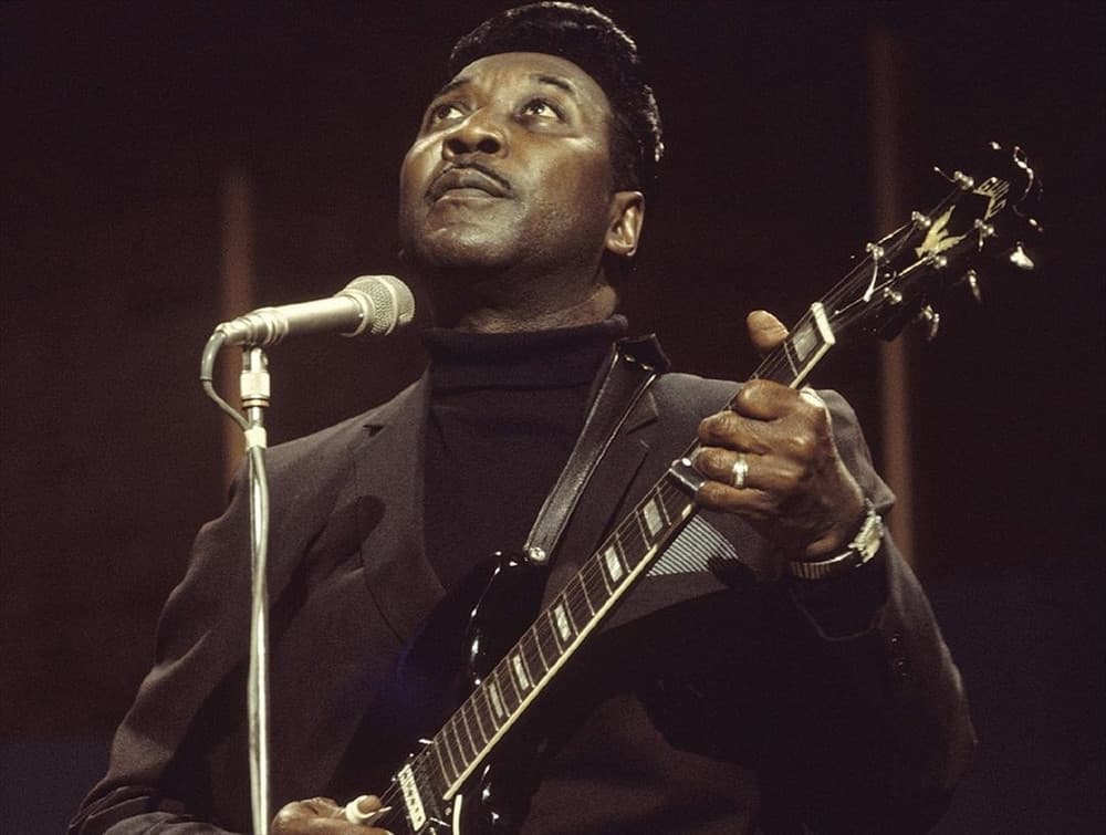 Muddy Waters profile