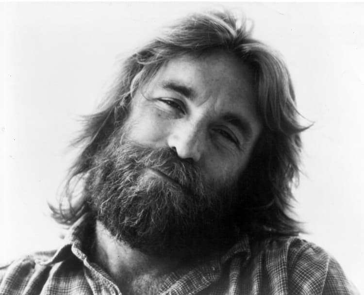 Dennis Wilson artist profile image