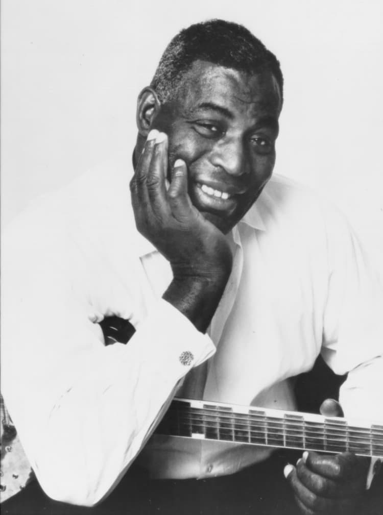 Howlin' Wolf artist profile image