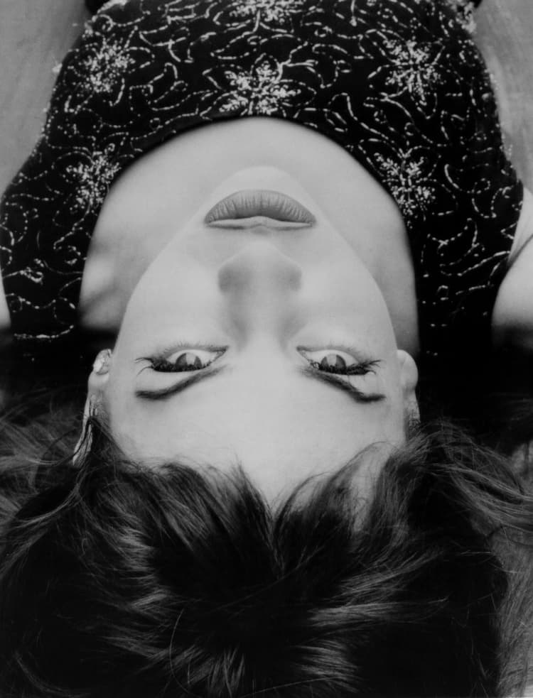 Elysian Fields artist profile image
