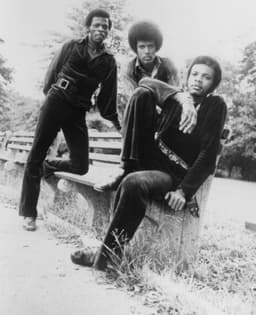 The Delfonics's artist profile image