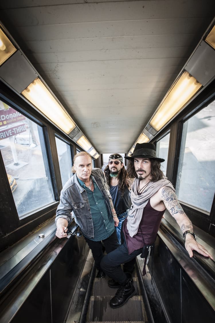 The Winery Dogs artist profile image