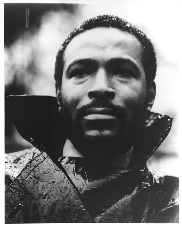 Marvin Gaye artist profile image