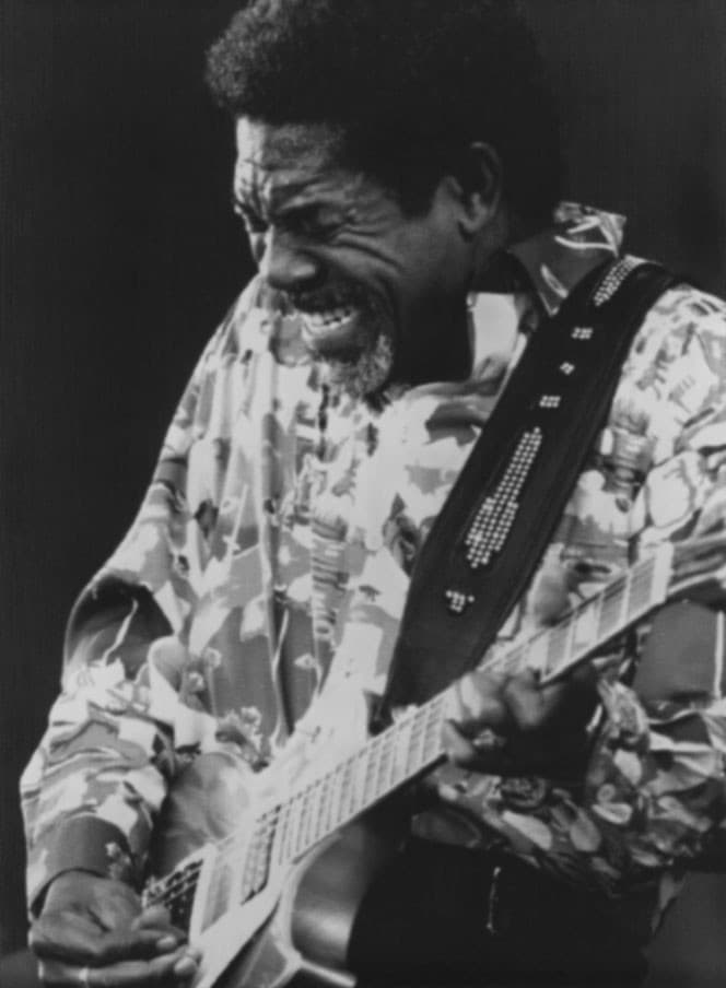 Luther Allison artist profile